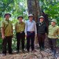 Kiểm tra an ninh rừng và PCCCR cuối năm 2022