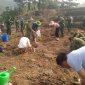 Tổ chức ra quân triển khai mô hình thí điểm trồng khoai mán ruột vàng tại bản Ché Lầu, xã Na Mèo